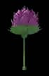 artichoke