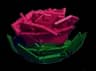 briarrose