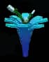 callalily