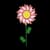 candysunflower