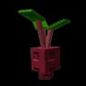 evo1beetroot