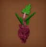 evo3beetroot