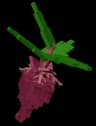evo4beetroot