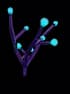 glowthorn