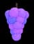 grape