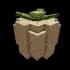 honeydew