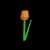 orangetulip