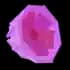 pinkrose