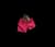 raspberry