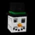snowmansprout