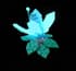 spiritflower