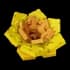sunbloom
