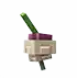 turnip